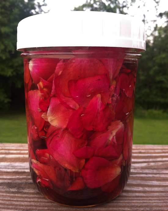 rose petal elixir | healthy green kitchen Rose Petal Elixir from www.healthygreenkitchen.com