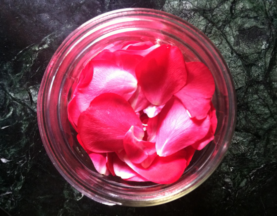 Rose petals in jar for rose elixir