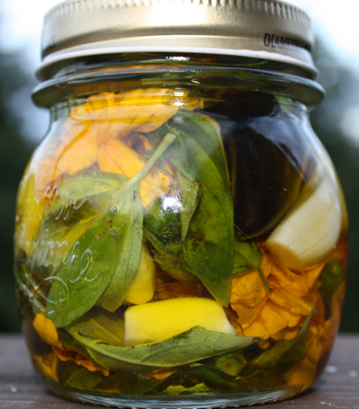 basilgarlicoil