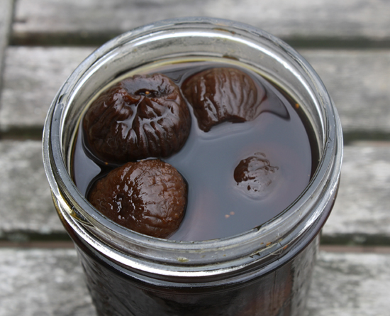 figsinsyrup figsinsyrup
