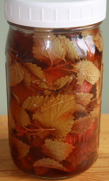 strawberrylemonbalmvinegar