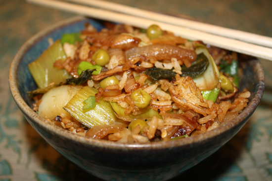 close-up view of a bowl filled with Indonesian Fried Rice, garnished with scallions, with a chopstick resting on top