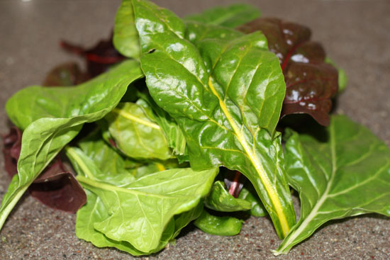 pileofchard