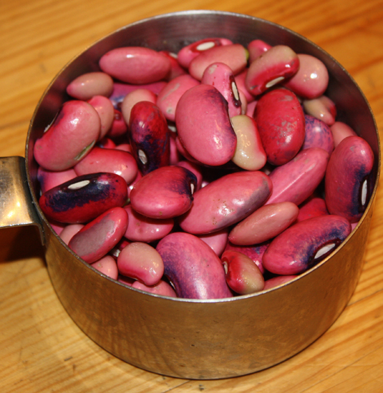 freshly shelled scarlet runner beans