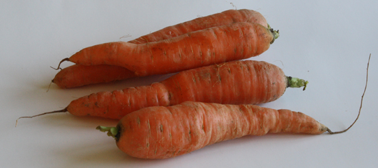 carrots