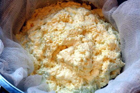 drainingricotta drainingricotta