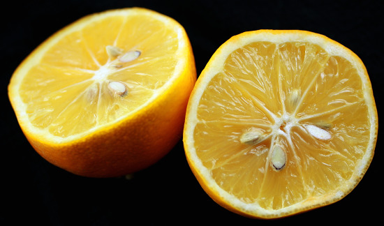 meyerlemoncut meyerlemoncut