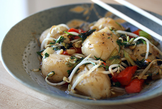 scallop1 scallop1