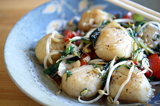 scallopscloseup scallopscloseup