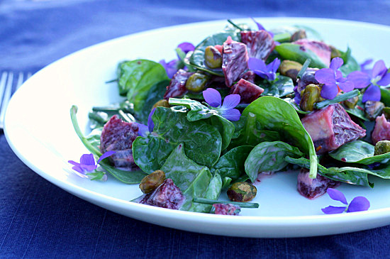 violetsalad1 violetsalad1