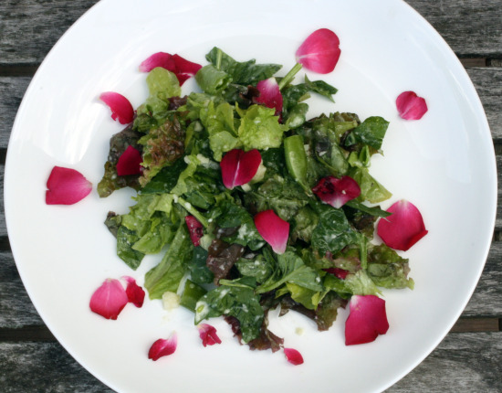 saladtop