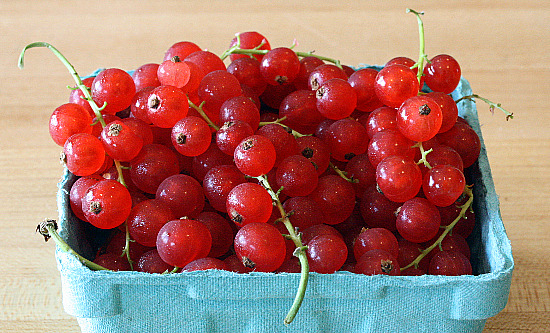 red currants