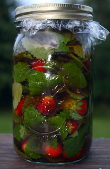 strawberrylemonbalmvinegar