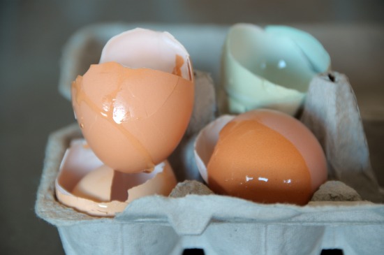 egg shells