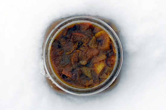 chutney top 2 winter squash chutney