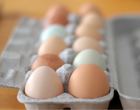 eggs from my chickens