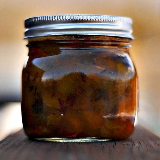 squash chutney side squash chutney