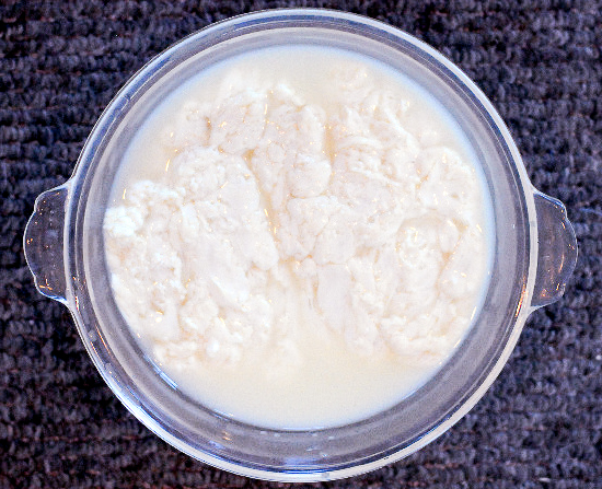 fresh mozzarella fresh mozzarella