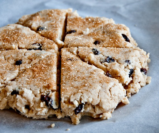 gluten free coconut raisin scones photo
