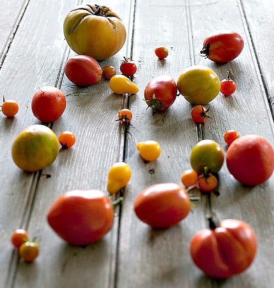 tomatoes on board