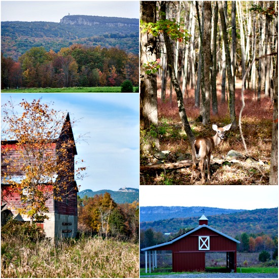fall collage