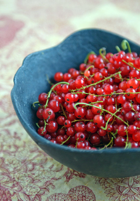 red currants