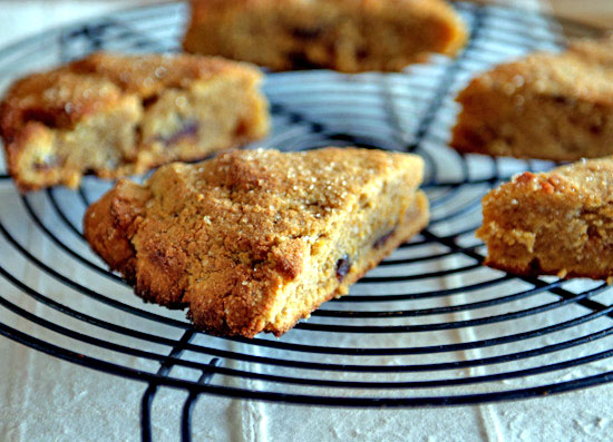 pumpkin scones pumpkin date scones
