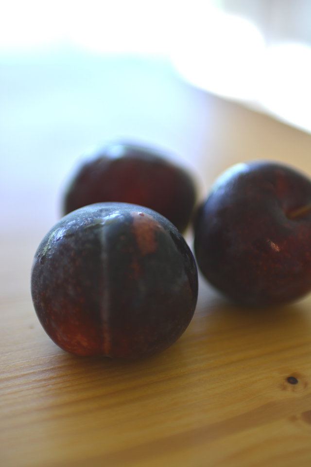 close up image of 3 fresh plums