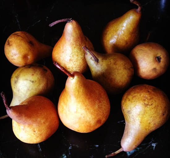 A variety of Bosc pears.