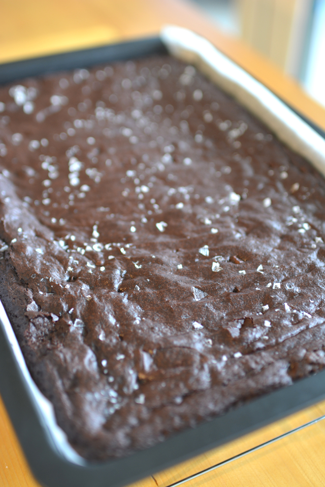 close up image of a tray containing a fudgy salted chocolate brownies