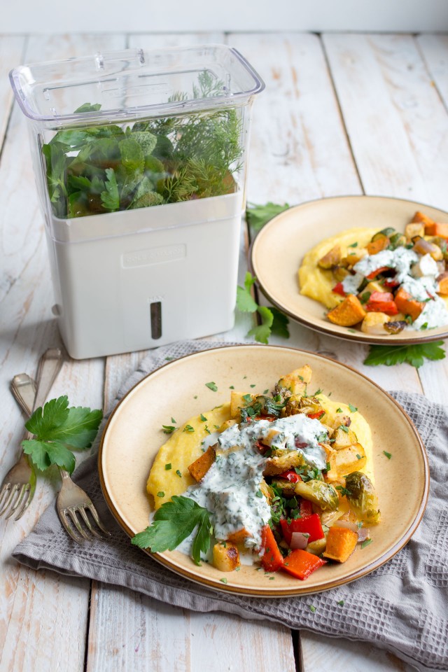 an image of two plates containing roasted vegetables with herby yogurt sauce and polenta