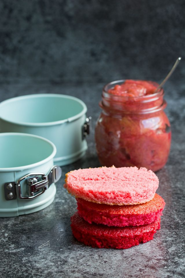 How cute are these ombre rhubarb mini cakes?! Sandwiched together with fresh rhubarb compote and creamy buttercream, you're going to love them!