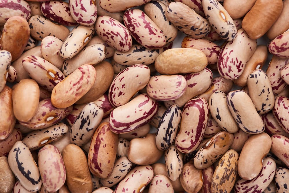 Raw Organic Pinto Beans.